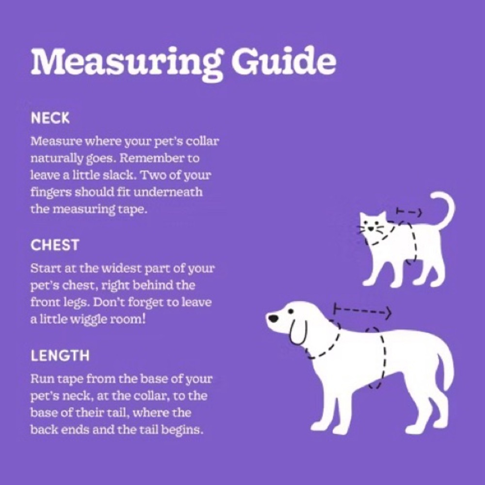 🎃 Halloween Pet Custom Boxer Champ Outfit for Dogs Hyde & EEK Boxer Outfit SMALL - Picture 11 of 12